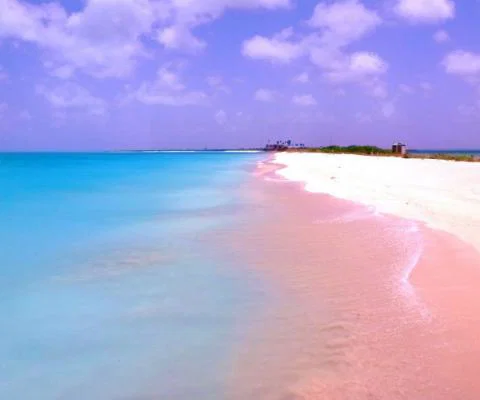 Barbuda Pink Sand .jpg