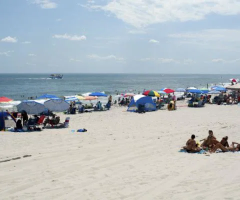 Beach on US east coast.jpg