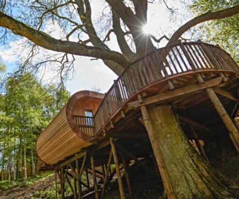 The Fish treehouse