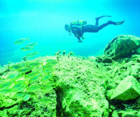Diving_in_Malta.JPG