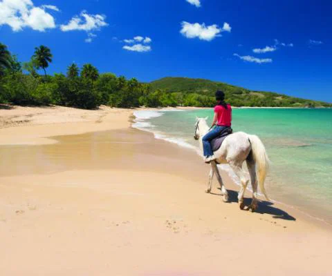 Guadeloupe beach.jpg