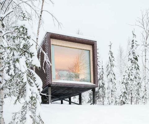 Arctic Tree House Hotel Finland