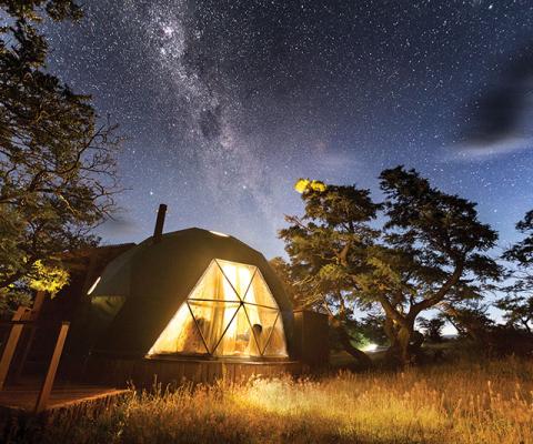 Agents and operators must adapt to new travel demands, the UNWTO has warned