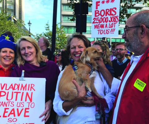 SBIT Brexit 2.jpg