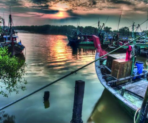 Kuala_Selangor.jpg