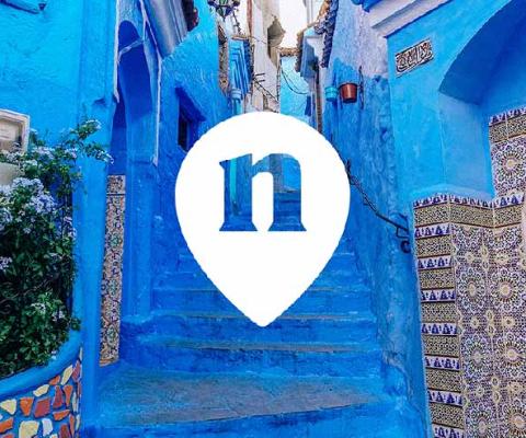 Nemo-blue-staircase.jpg