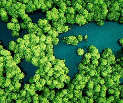 Get green claims right or risk wrath of regulators, travel warned