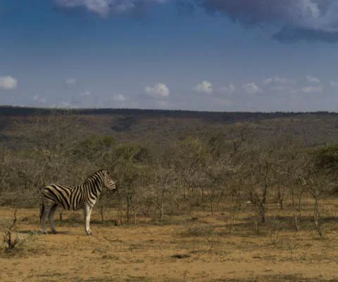 Explore has launched a new South Africa Garden Route tour