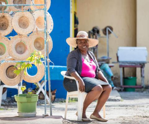 Tui launches project to help small tourism firms in Jamaica