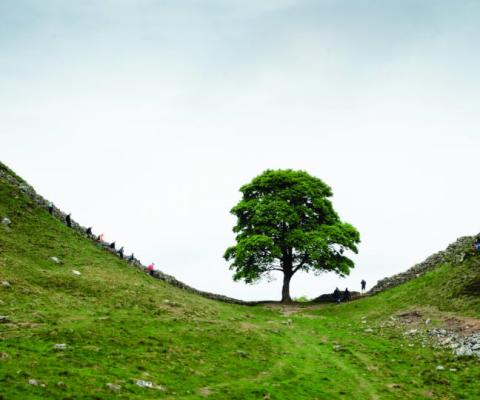 Explore launches new UK breaks with Covid bookings pledge