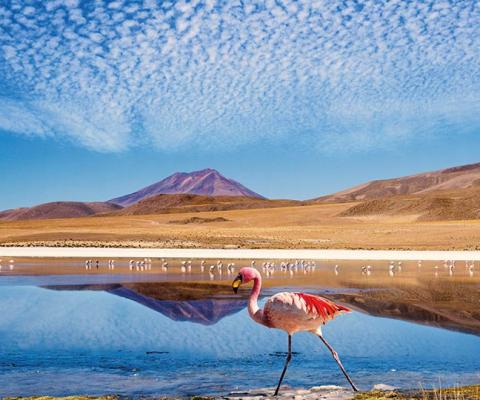 The Year Ahead in Travel for Journey Latin America