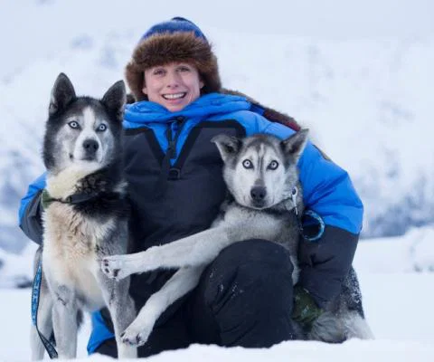 Clients can get to know huskies in Yukon