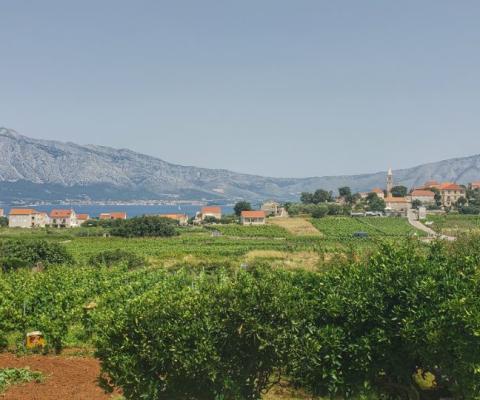 Croatia's wine region of Lumbarda is among Audley's additions