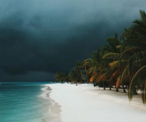 Winds of up to 60mph are forecast (Credit: Ibrahim Rifath / Unsplash)