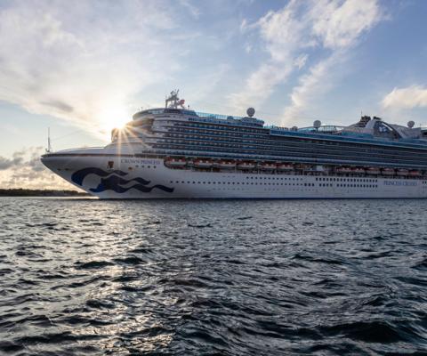Crown Princess