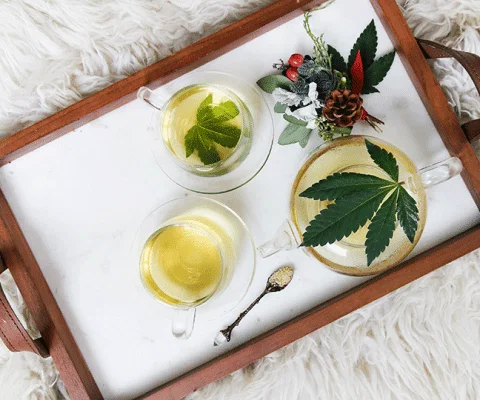 Cannabis-tourism-is-on-the-rise.-Photo-Kimzy-Nanney.gif