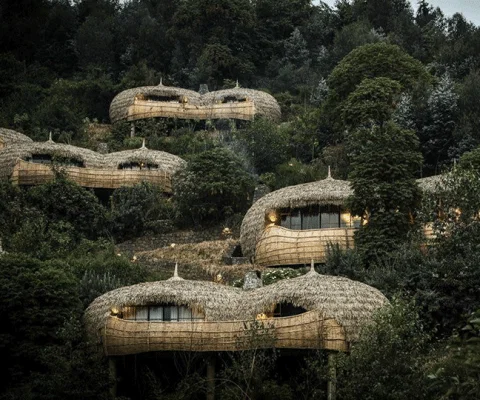 Bisate-Lodge.gif