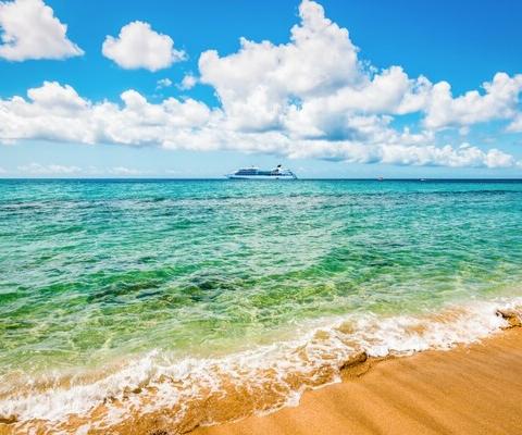 Cruise sector on course for record year in 2023, says Clia chief
