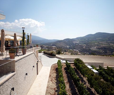 Cyprus is keen to promote more diverse products, such as wine routes, to appeal to a wider range of tourists