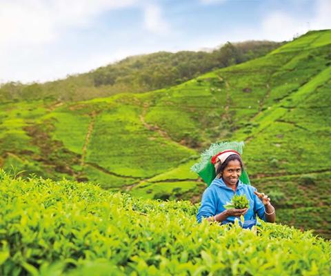 Win 1 of 10 places on G Touring's TTG Sustainable Travel Heroes fam trip