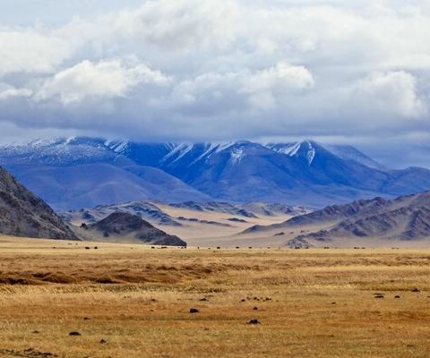 Mongolia_METhumb.jpg