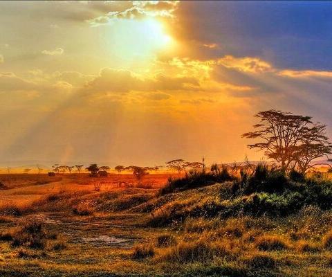 The Kruger National Park is one of Newmarket Holidays' Exclusive destinations (Credit: Newmarket Holidays)