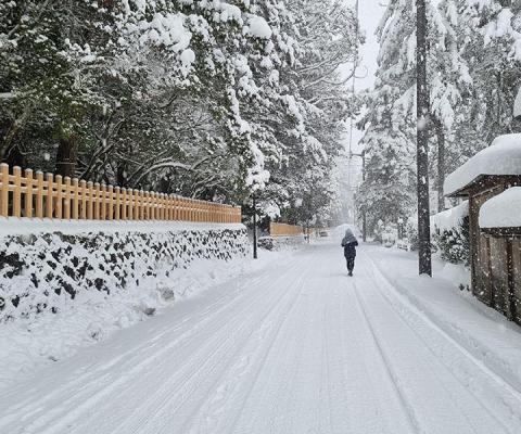 Mt Koya