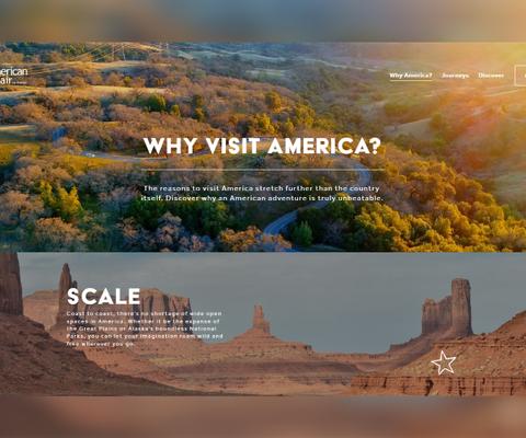 American_Affair_trade_website_1.jpg