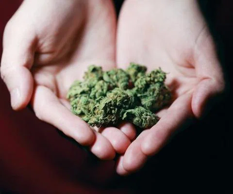 Should cannabis tourism be high on agents' agenda?