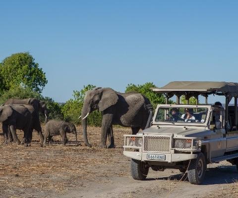 Chobe-Game-Lodge-1.jpg