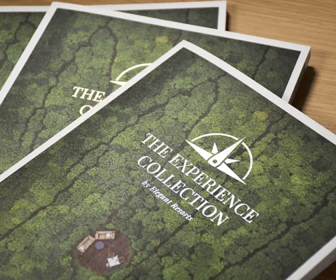Exp-Collection-4.gif