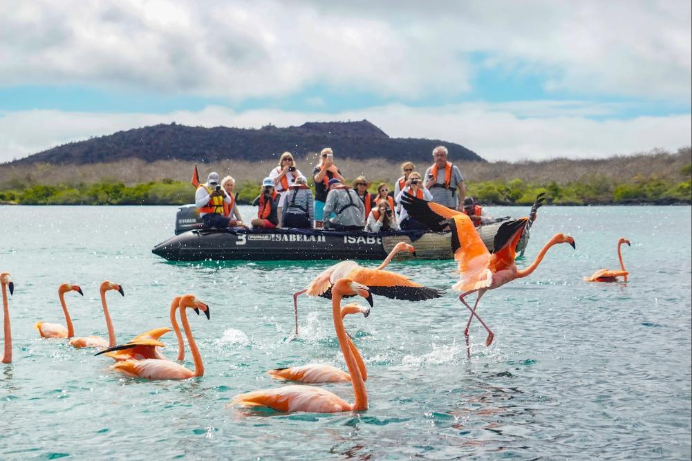 (credit: Metropolitan Touring) People on an inflatable expedition boat looking at flamingoes