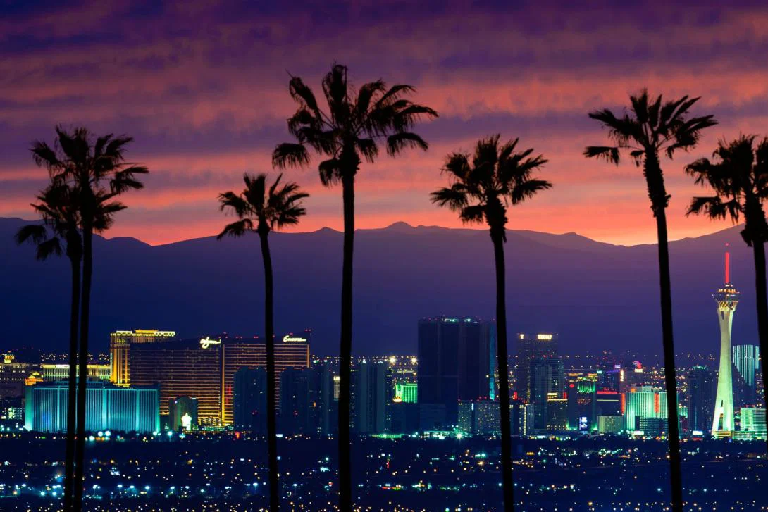 The Las Vegas skyline at night with palm trees in the foreground