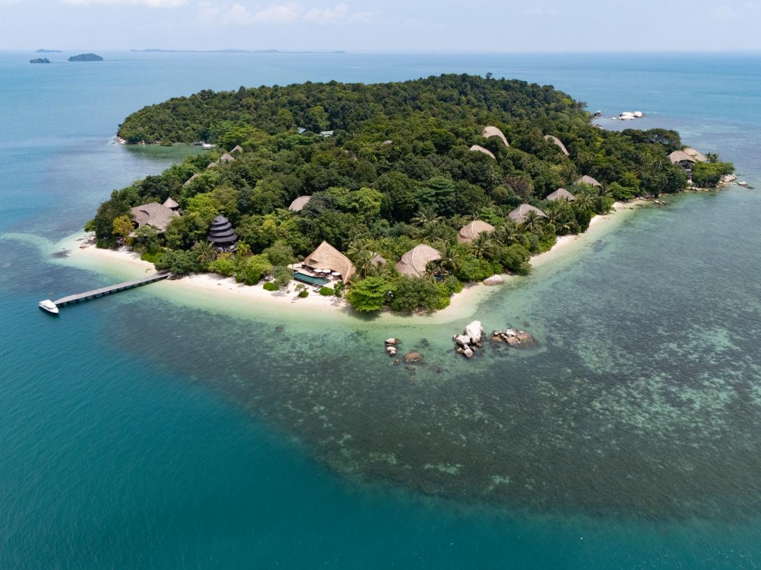 Cempedak