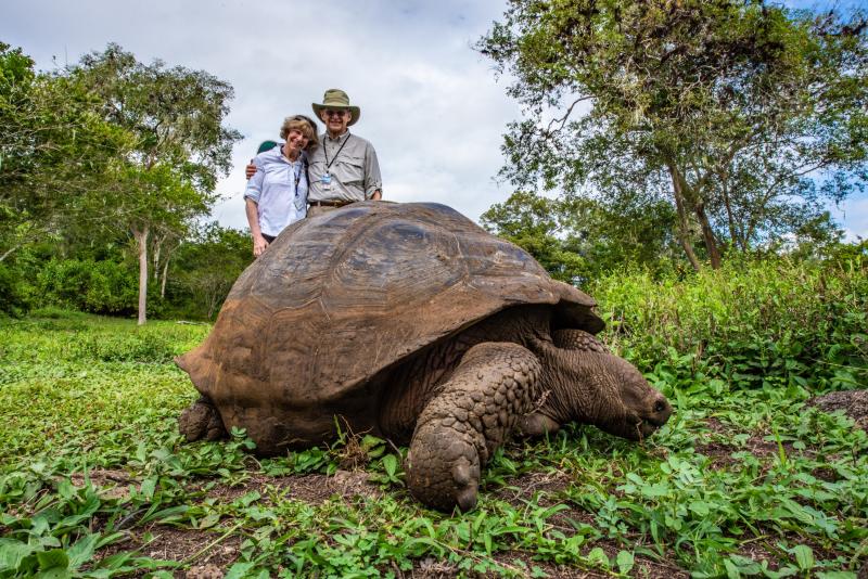Older couple stand behind giant tortoise