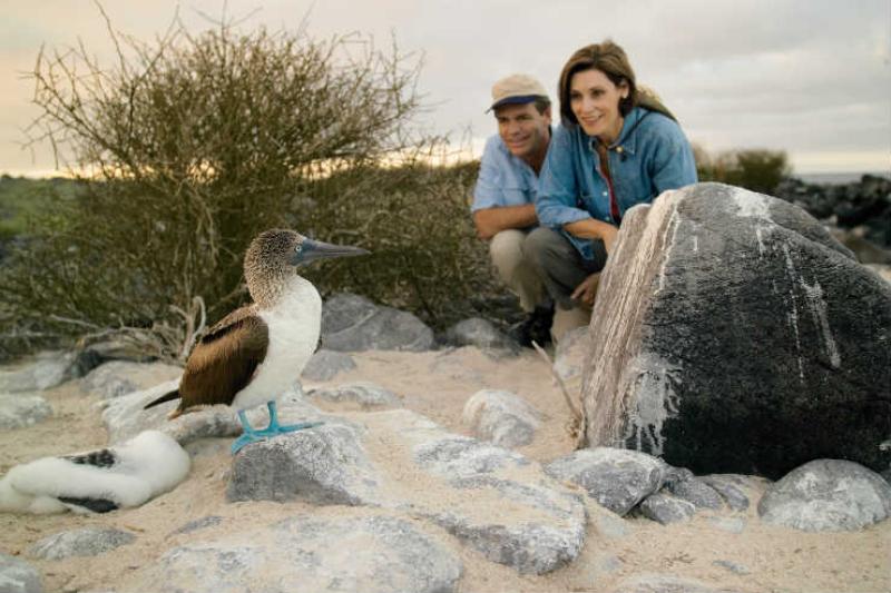 Galapagos Islands: Going wild