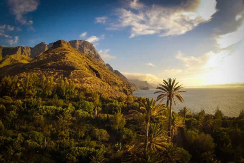 Canary Island updates