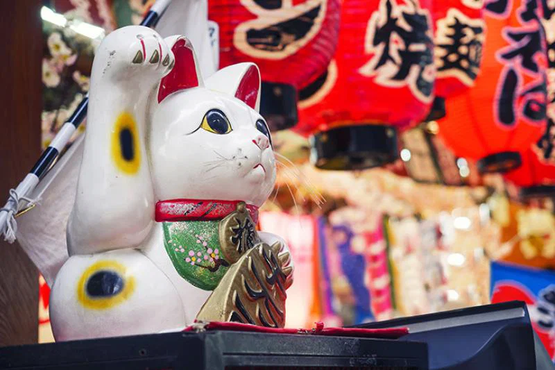 3. Lucky Cat
