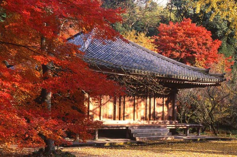 Oita Fuki-ji temple, Japan