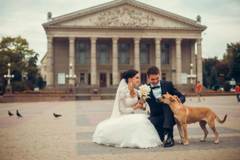 They call it puppy love