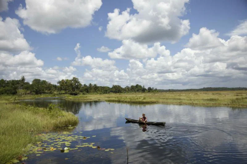 From January to September 2019, 5,000 UK tourists visited Guyana