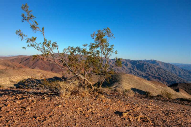 Dante's View in Death Valley, California Picture: Peter Ellegard