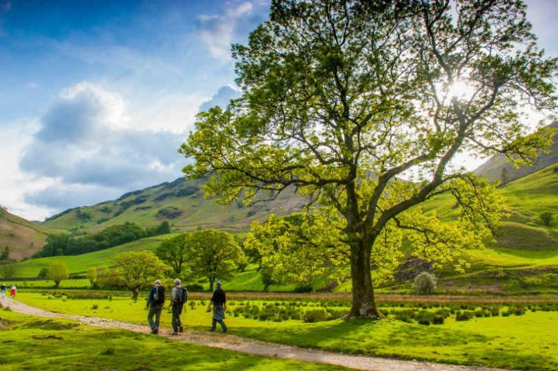 Borrowdale Valley in the Lake District