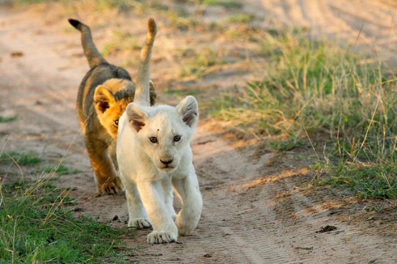 SOUTH AFRICA