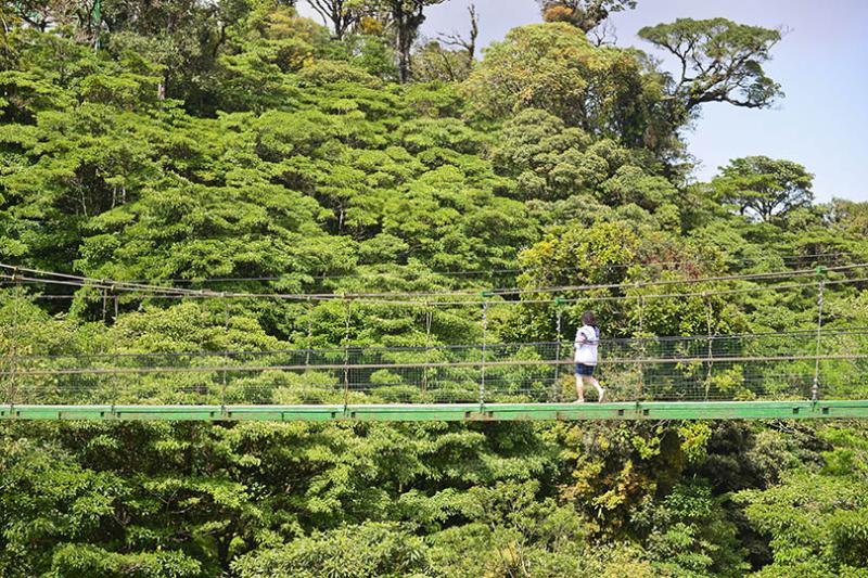 Exploring Monteverde Cloud Forest