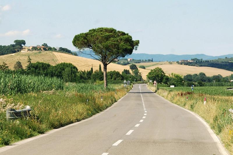 Tailor Made Rail expects its new "no-fly" rail-drive itineraries to be popular