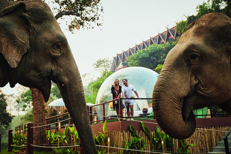 Once-in-a-lifetime experiences