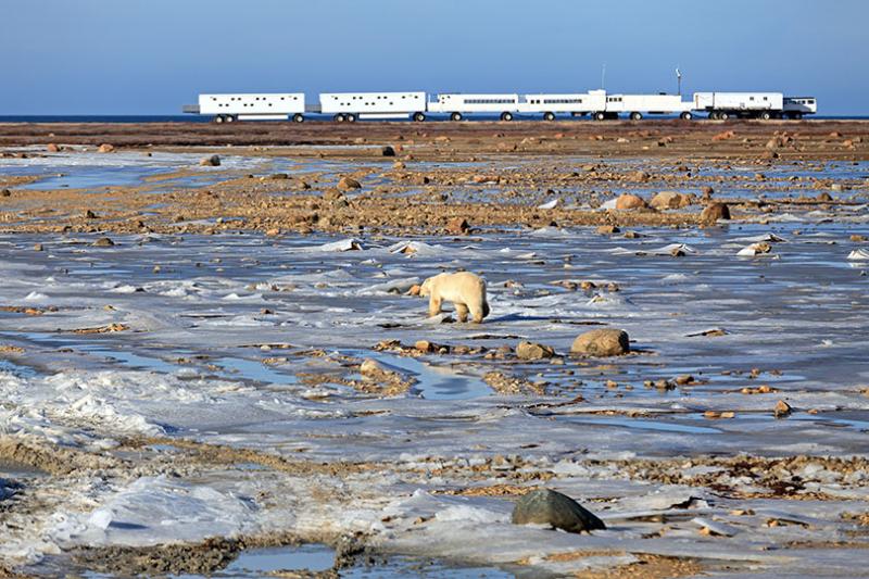 Polar adventure