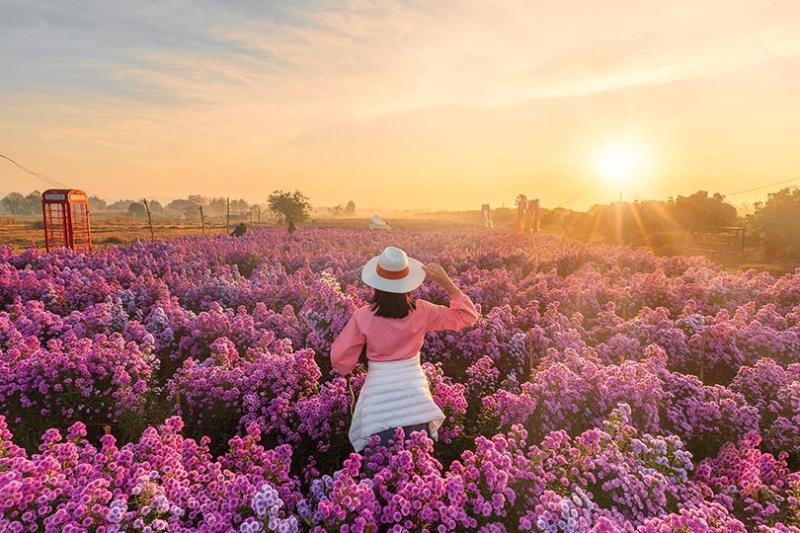 Rediscover Thailand's charm