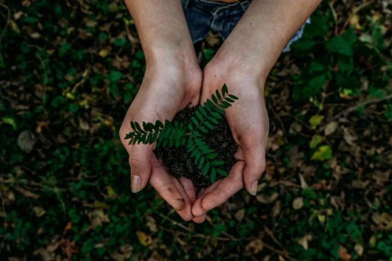 The sustainability challenge